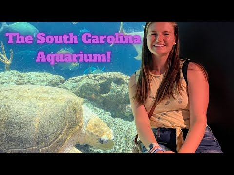 The South Carolina Aquarium!