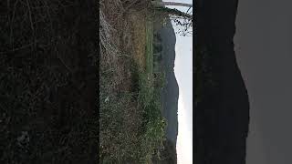 Old Film * Parabata Nadi Jharana* The Movie Of \