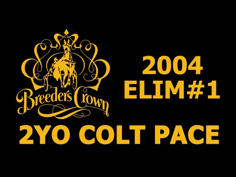 2004 Breeders Crown Elim#1 - All American Ingot - 2YO Colt Pace