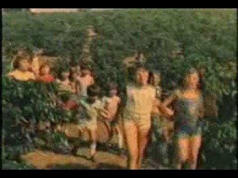 Filme original do Café Seleto - "depois de um sono bom"