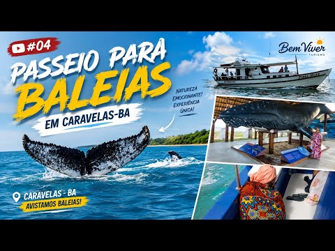 🐋 Fomos Ver as Baleias em Caravelas-BA | Uma Experiência Incrível no Mar!