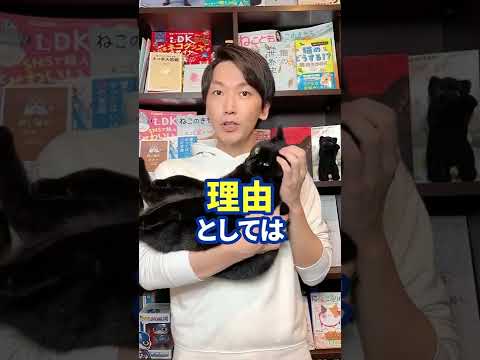 猫を「外来種」に分類:研究者らは奇妙な決定を下す – 彼らは逆風を予想していなかった