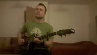 John Scofield Meets Zelda Guitar Improvisation