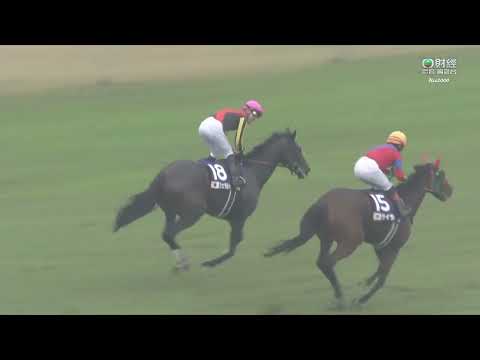 2022 女皇伊利沙伯二世盃 Queen Elizabeth II Cup 吉典娜 Geraldina ジェラルディーナ 杜滿樂
