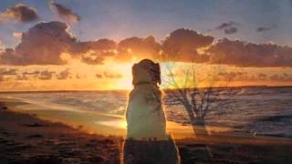 Manolo García - Pájaros De Barro