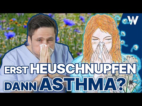 Heuschnupfen & Pollenallergie: Geht es wieder los? Meine Tipps die helfen können - Asthma Eskalation