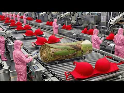 How Banana Plant Waste Is Turned Into Women’s Underwear | World Wide Waste