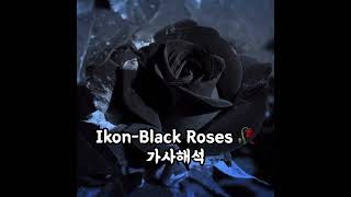 Ikon-Black Roses 🥀 가사해석