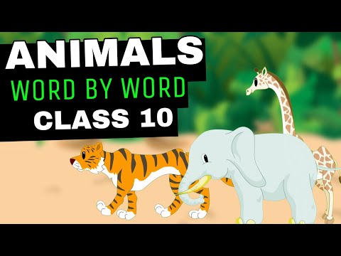 Hindi enimal Mp4 3GP Video & Mp3 Download unlimited Videos Download - Hindi enimal Mp4 3GP Video & Mp3 Download unlimited Videos Download -