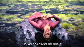 Björk - Family (legendado)