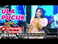 ULA PUCUK AYU WD CITRA NADA LIVE DS BLANDONG DESA PESANTREN ULUJAMI PEMALANG