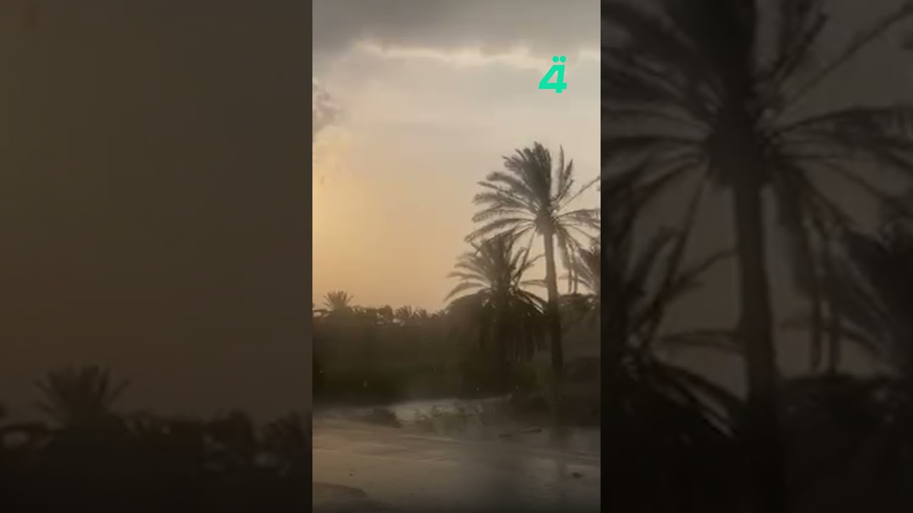 فيديو | أمطار غزيرة مصحوبة برياح قوية في البصرة
