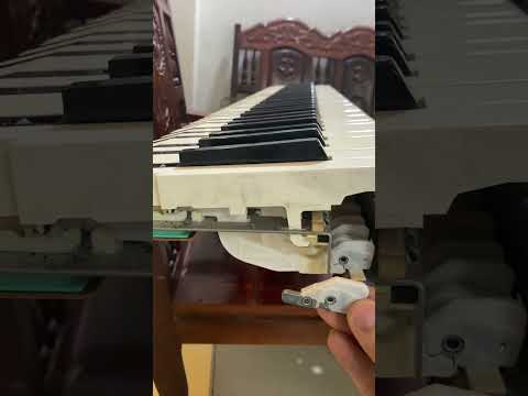 Hướng dẫn sửa Piano Roland HP355 tận nhà cho khách tiết kiệm chi phí