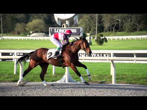 210912 c07 HUMILLA (BRZ)