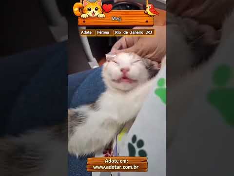 Vídeo de Meg 