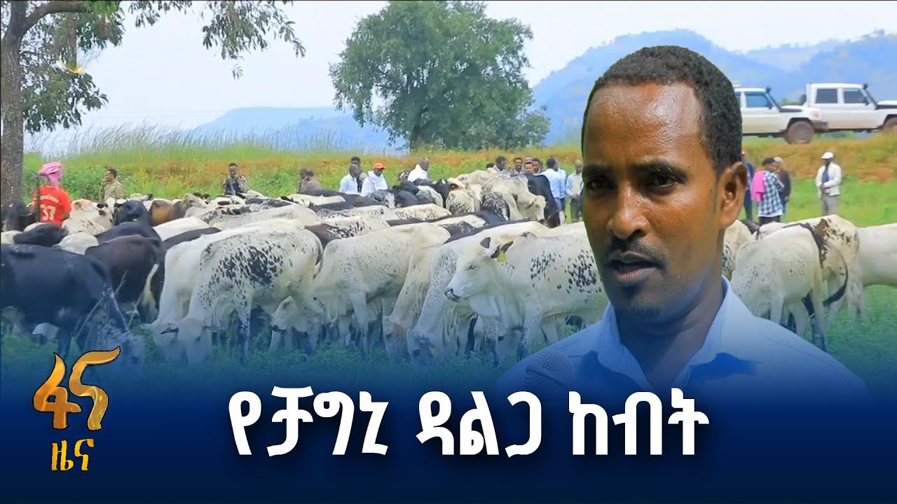 ቻግኒ ዳልጋ ከብት ብዜትና ዝርያ ማሻሻያ ማዕከል