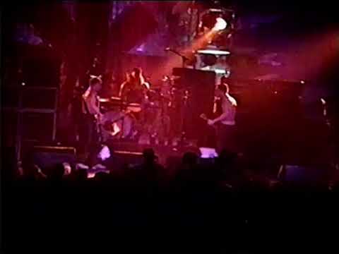 Felas Cock video