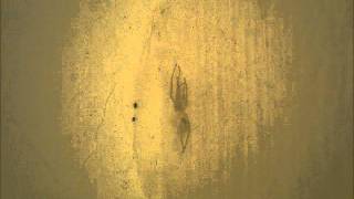 all my friends are cyborgs - maria_v365