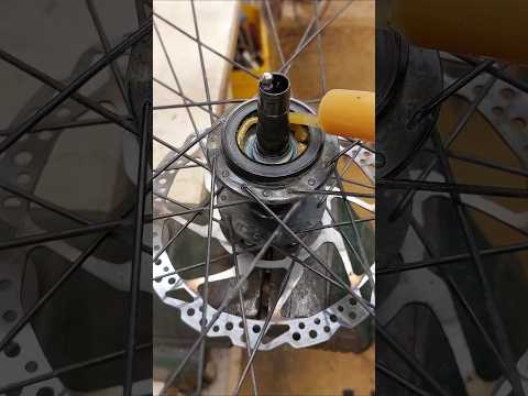 Endlich leise. Freilauf bei shimano FH-MT401 Nabe ruhig gestellt