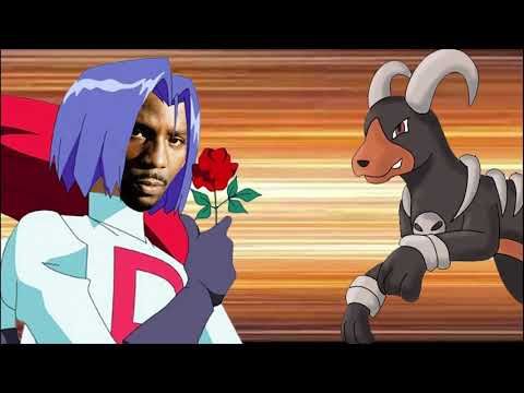 DMX vs Pokemon