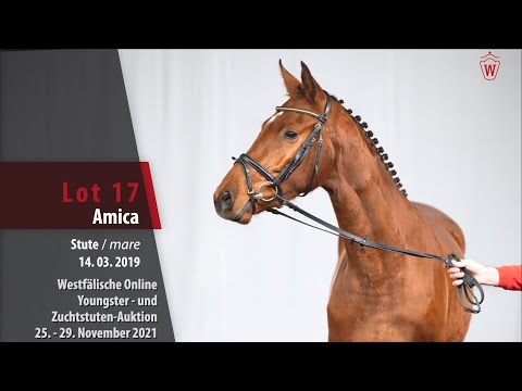 Youngster- und Zuchtstuten-Auktion Lot 17 Amica Stute v. A la Carte NRW - Primeur's As