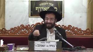הרב מיכאל רביע | פרשת שמות