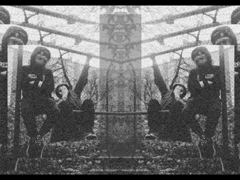 Wazon & marcelyan // typical CROWdæd shit