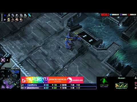 SC2 Bunny vs Scarlett TvZ Game 4 The Foreign Hope Starcraft 2 Tournament