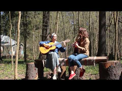 The Beatles - The Fool on the Hill (arr. Leo Brouwer)