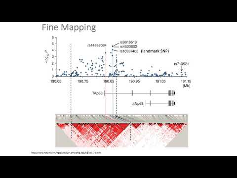 MCB 182 Lecture 12.9 - Fine-mapping causal variants based on GWAS associations