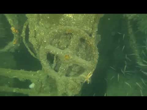 Bayern Turrets 021122