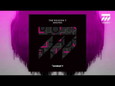 The Reason Y - Circus Of Maniacs