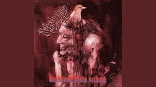 Shame On the Human Race