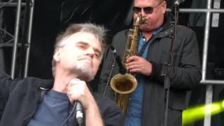 Never - Moving Pictures - Live at A Day on the Green