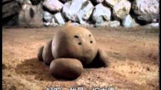 [問題] 問一部兒童教育動畫