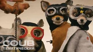 Don`t turn around часть 2 | Приколы из кино | Приколы с актерами | COUB Тематический #6