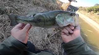 【バス釣り】１年間で集めたヒットシーン【春夏秋冬】