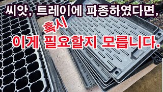 씨앗 트레이에 파종하였다면 혹시 이게 필요할지 모릅니다.(작은 화분에 모종을 키우더라도 필요할 수 있습니다.…