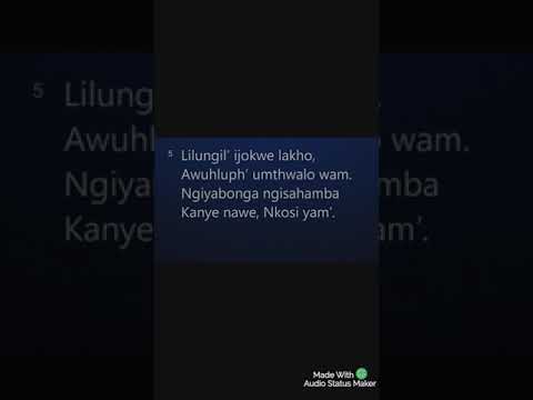 LILUNGILE IJOKWE LAKHO @khulefresh1512