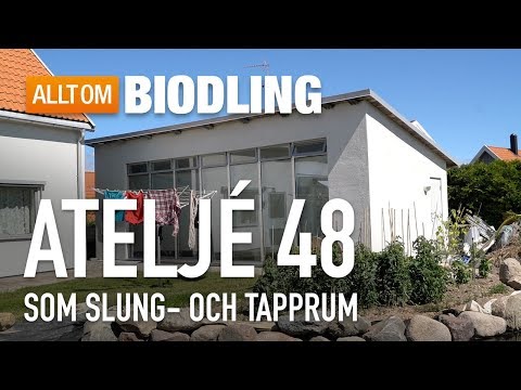 Ateljé 48 som slung- och tapprum - Honungshantering - Biodling