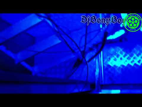 Dj Bonyboy in Karlovy Lazne Prague June 2022