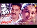 Dillu Baru Jaane HD Video Song தில்லுபரு ஜானே Kalaignan Kamalhaasan Ilayar