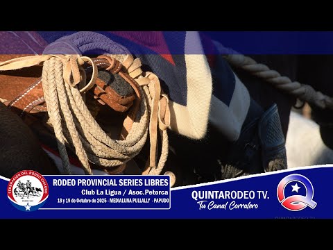 SERIE DE CAMPEONES  / Rodeo Club LA LIGUA - Asoc. PETORCA. Octubre 18 y 19, 2025
