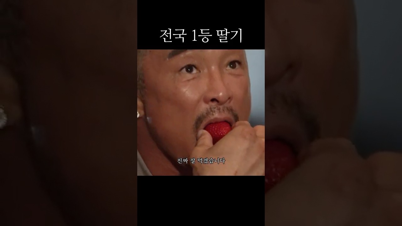 비싼 가격, 가성비 분량