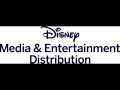 I Salute Disney Media Entertainment Distribution