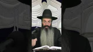 ✨ספר תהילים בשבת מברכין✨ לכבוד שבת קודש 🕯️🕯️ (בית הכנסת מוסאיוף - ערוץ חדש) - התמונה מוצגת ישירות מתוך אתר האינטרנט יוטיוב. זכויות היוצרים בתמונה שייכות ליוצרה. קישור קרדיט למקור התוכן נמצא בתוך דף הסרטון