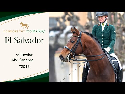 EL SALVADOR v. Escolar - Sandreo