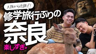 大阪→奈良🦌大仏ってこんなデカかった?!
