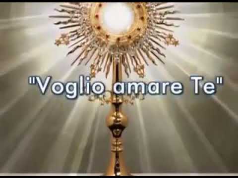 TESTO DELLA CANZONE ( VOGLIO AMARE TE )