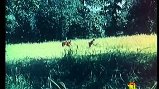 Bastar -  Rhythm of Progress (1975)